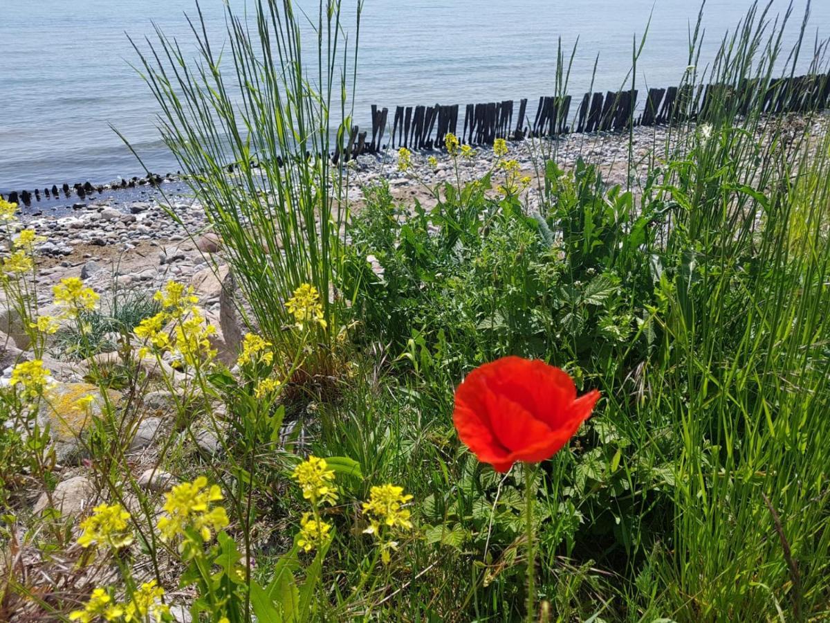 Ferienwohnung "Luv" Grube Ostsee Экстерьер фото