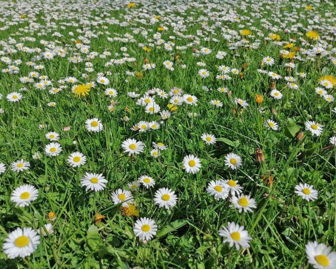 Ferienwohnung "Luv" Grube Ostsee Экстерьер фото